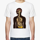 'Анатомия музыки'