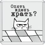 Опять идешь жрать? Злой кот