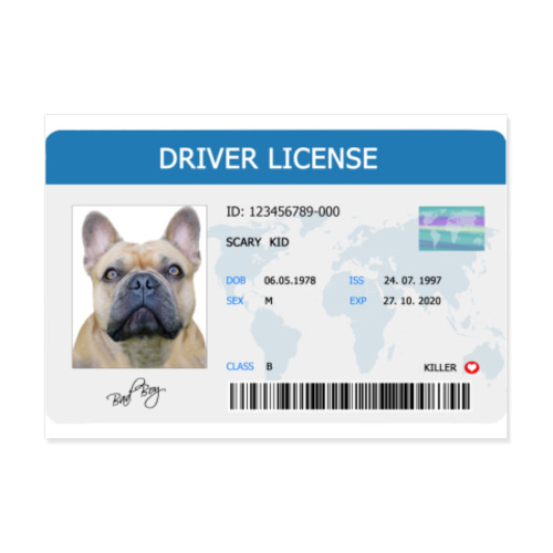 Виниловые наклейки с принтом Собачьи права