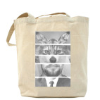 Холщовая сумка