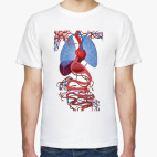 Внутренние органы