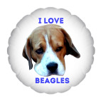 Грустный Бигль