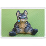 Грустный кот