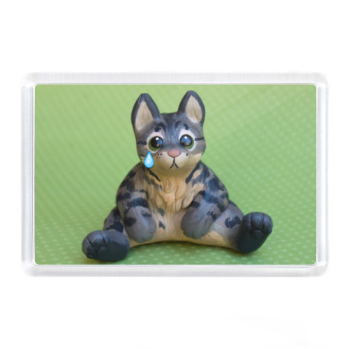 Магнит с принтом Грустный кот