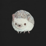 Ушастый ёжик