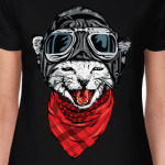 Котяра-летчик