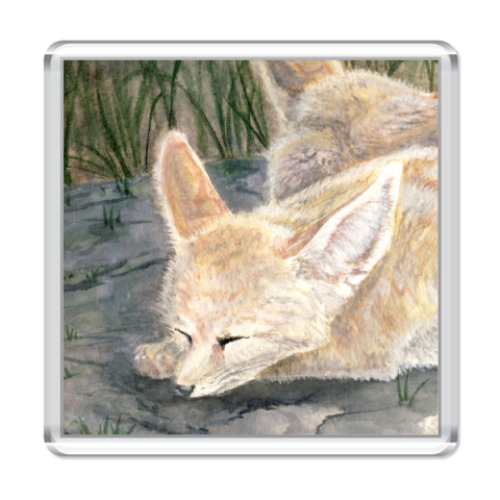 Магнит с принтом фенек