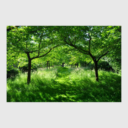 Постер с принтом Необычайно красивая природа