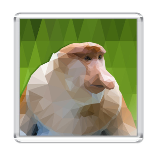 Магнит с принтом Обезьяна носач Сирано