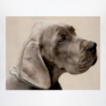 Грустный пес