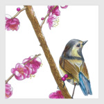 Серия: птицы