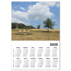 Украинский пейзаж