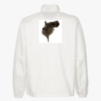 Ветровка без капюшона