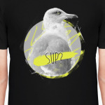 Чайка Стивен