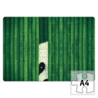 Бамбуковый медведь