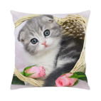 Кот в корзине