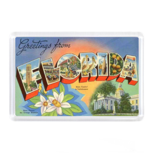 Магнит с принтом Ретро Флорида, США, Капитолий