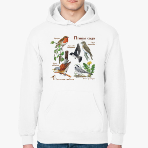 Толстовка худи с принтом Птицы сада