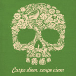 Carpe diem, carpe viam