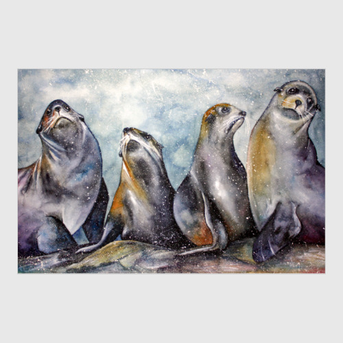 Пенокартон с принтом Тюлени. Акварель