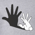 Заяц и тень