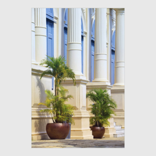 Постер с принтом Две пальмы