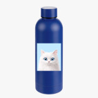 Термобутылка