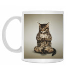 Кот медитирует