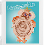 Довольная собой сова