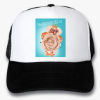 Кепки Trucker