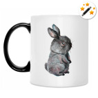 Маленький чёрный кролик