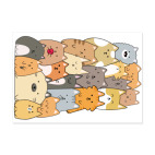 Смешные коты (funny cats)