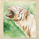 Снежный Тигр