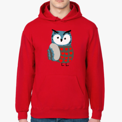 Толстовка худи с принтом Влюбленная сова