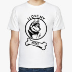 Сибирский хаски (Husky)