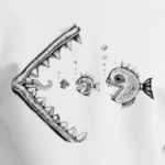 Иллюзии (Рыбы)