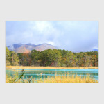 Фото природы