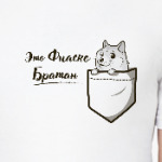 Это фиаско, Братан