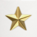 Генеральская Звезда