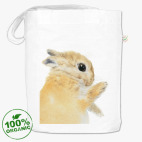 Нежный кролик