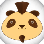 Смешная панда панк