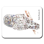 Сова - длиннохвостая неясыть