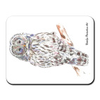 Сова - длиннохвостая неясыть